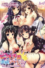 Bitch Gakuen ga Seijun na Hazu ga Nai!! Todos os Episodios Online